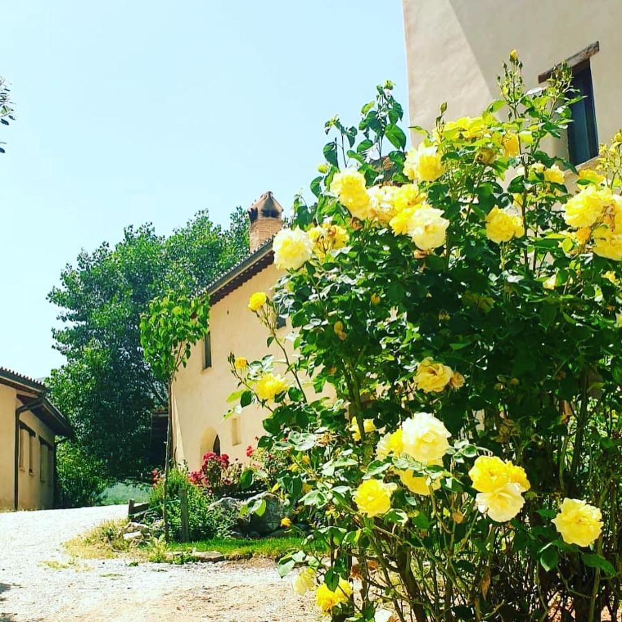 Villa Agriturismo Il Covo Del Solengo à Valtopina Extérieur photo