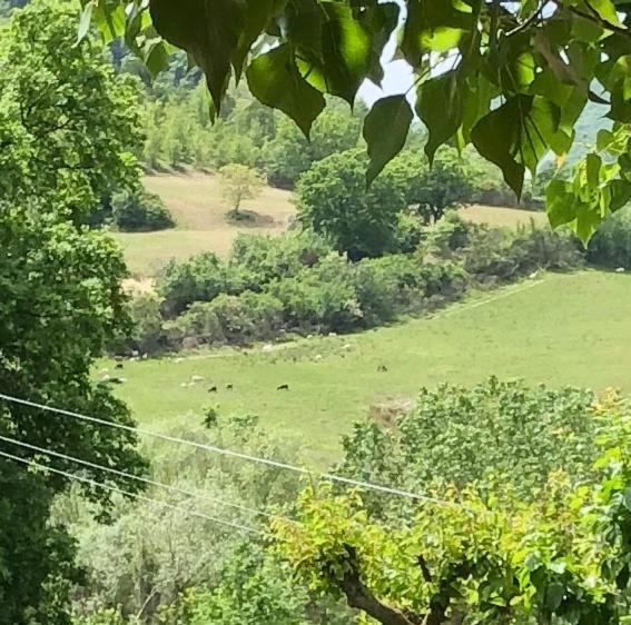 Villa Agriturismo Il Covo Del Solengo à Valtopina Extérieur photo